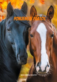 Vorderes Coverbild Ponijengin päätös