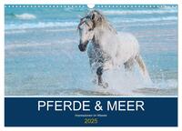 Vorderes Coverbild PFERDE & MEER (Wandkalender 2025 DIN A3 quer), CALVENDO Monatskalender