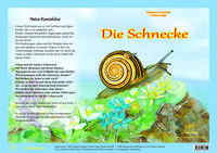 Vorderes Coverbild Natur-Kamishibai / Die Schnecke - Natur-Kamishibai