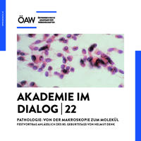 Vorderes Coverbild Pathologie: Von der Makroskopie zum Molekül