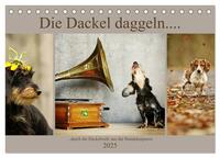 Vorderes Coverbild Die Dackel daggeln.... (Tischkalender 2025 DIN A5 quer), CALVENDO Monatskalender
