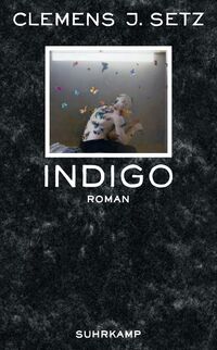 Vorderes Coverbild Indigo