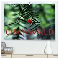 Vorderes Coverbild Eibenwald (hochwertiger Premium Wandkalender 2025 DIN A2 quer), Kunstdruck in Hochglanz