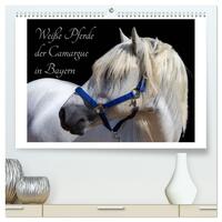Vorderes Coverbild Weiße Pferde der Camargue in Bayern (hochwertiger Premium Wandkalender 2025 DIN A2 quer), Kunstdruck in Hochglanz