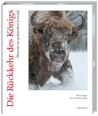 Vorderes Coverbild Rückkehr des Königs