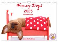 Vorderes Coverbild Funny Dogs (Wandkalender 2025 DIN A4 quer), CALVENDO Monatskalender