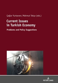 Vorderes Coverbild Current Issues in Turkish Economics