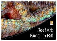 Vorderes Coverbild Reef Art - Kunst im Riff (Wandkalender 2025 DIN A2 quer), CALVENDO Monatskalender