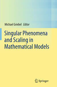 Vorderes Coverbild Singular Phenomena and Scaling in Mathematical Models
