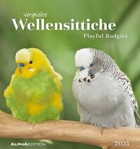 Vorderes Coverbild Alpha Edition - Wellensittiche 2025 Postkartenkalender, 16x17cm, Kalender mit Postkarten zum Heraustrennen, Monatsübersicht, zum Aufstellen oder Aufhängen und internationales Kalendarium