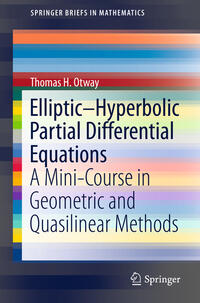 Vorderes Coverbild Elliptic–Hyperbolic Partial Differential Equations