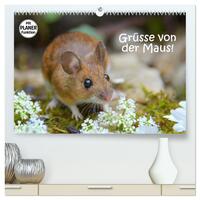 Vorderes Coverbild Grüsse von der Maus! (hochwertiger Premium Wandkalender 2025 DIN A2 quer), Kunstdruck in Hochglanz