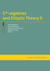 Vorderes Coverbild C*-algebras and Elliptic Theory II