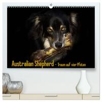 Vorderes Coverbild Australian Shepherd - Traum auf vier Pfoten (hochwertiger Premium Wandkalender 2025 DIN A2 quer), Kunstdruck in Hochglanz