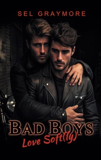 Vorderes Coverbild Bad Boys love soft(ly)