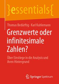 Vorderes Coverbild Grenzwerte oder infinitesimale Zahlen?