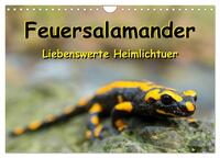 Vorderes Coverbild Feuersalamander - Liebenswerte Heimlichtuer (Wandkalender 2025 DIN A4 quer), CALVENDO Monatskalender