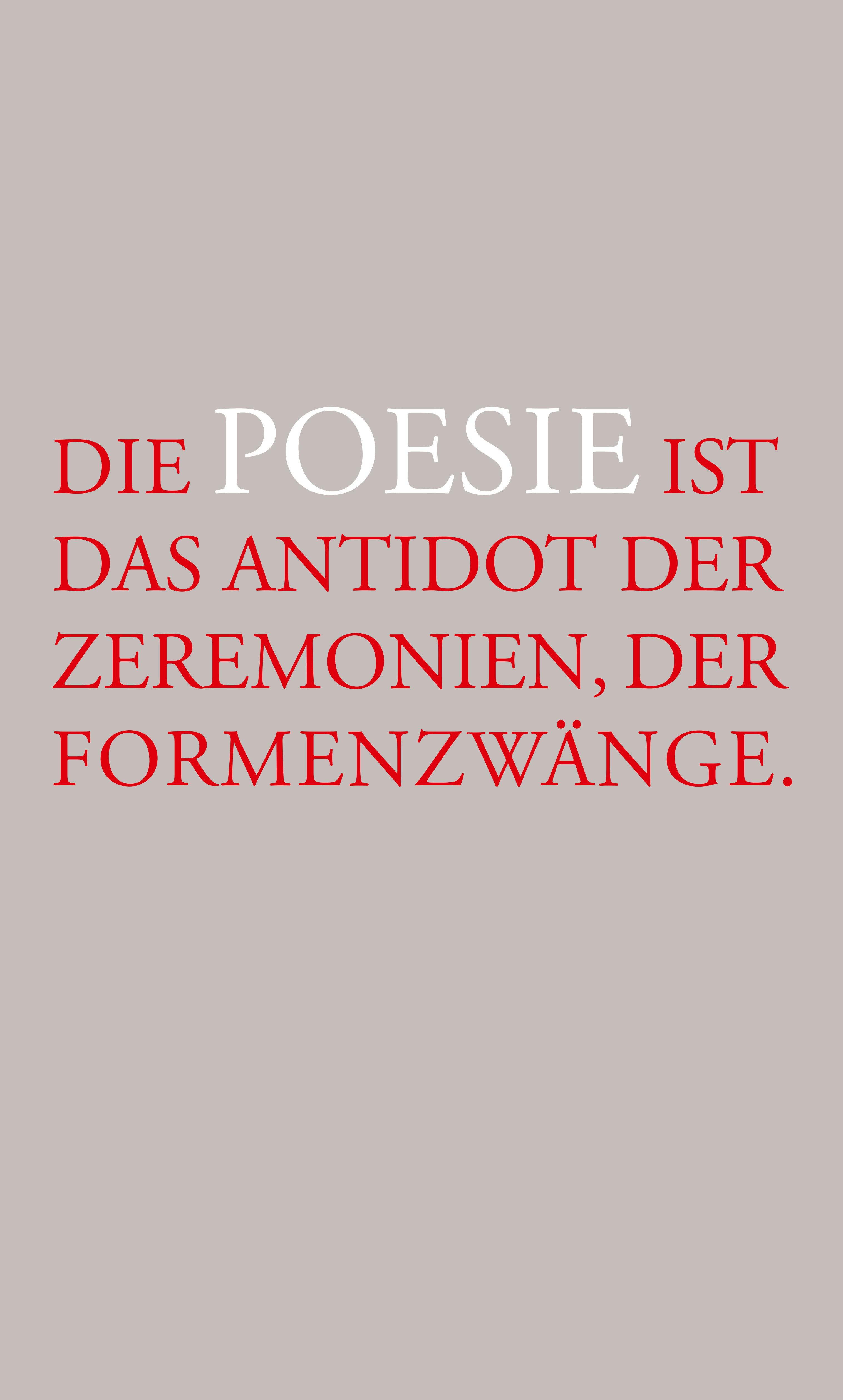 Rückseitencover Fortwährender Versuch, mit Gewalten zu leben