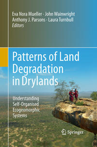Vorderes Coverbild Patterns of Land Degradation in Drylands
