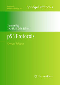 Vorderes Coverbild p53 Protocols
