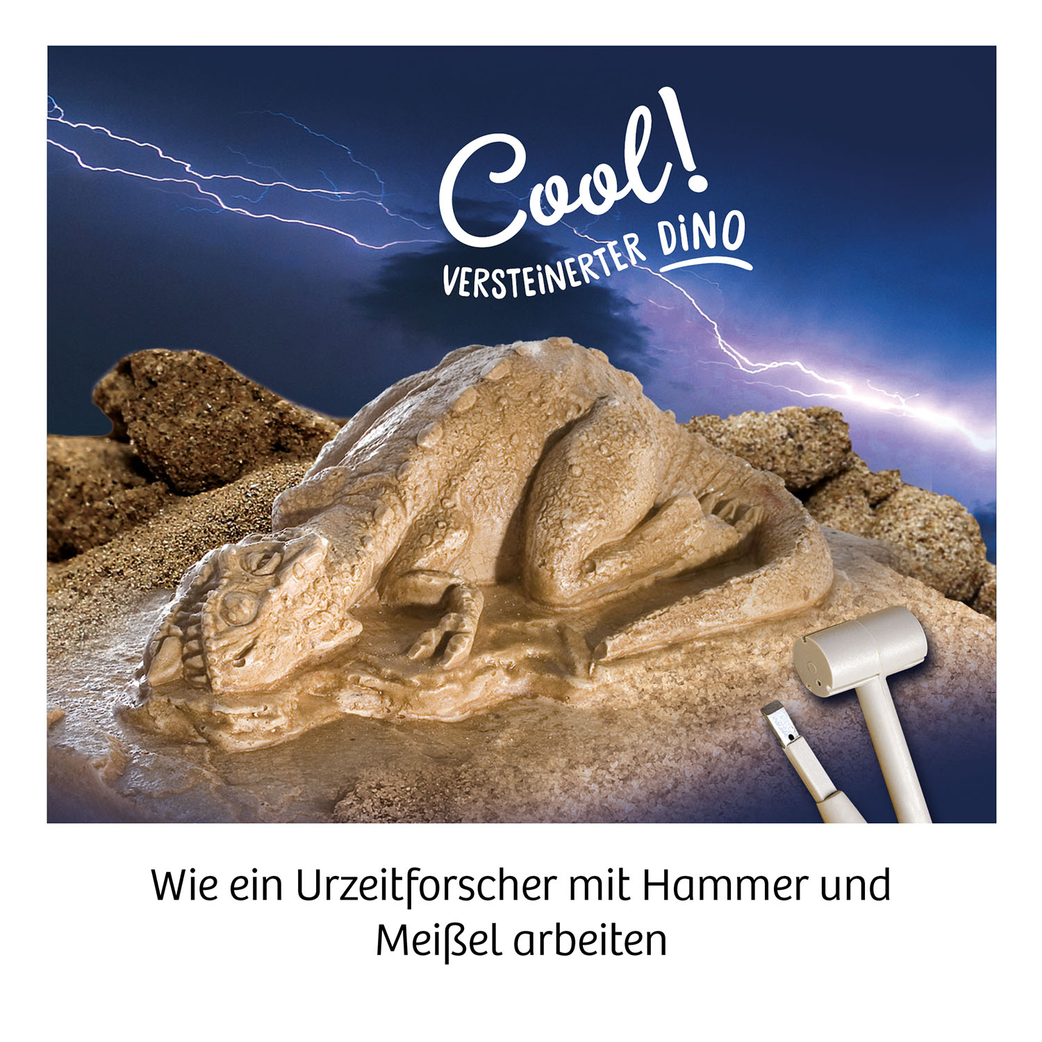 Beispielinhalt (Bild) T-Rex 3D