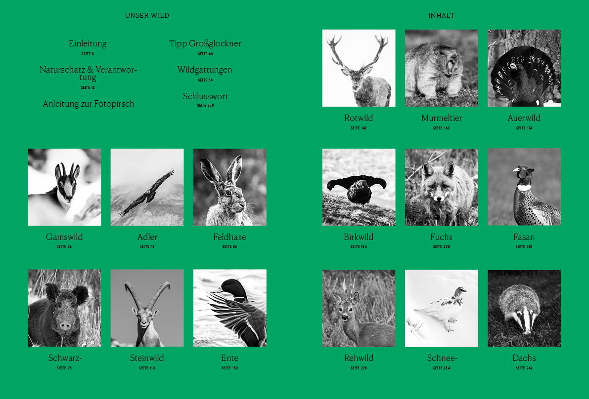 Beispielinhalt (Bild) Unser Wild