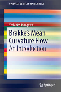Vorderes Coverbild Brakke's Mean Curvature Flow