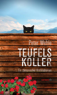 Vorderes Coverbild Teufelskoller