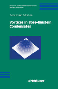 Vorderes Coverbild Vortices in Bose-Einstein Condensates
