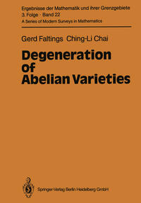 Vorderes Coverbild Degeneration of Abelian Varieties