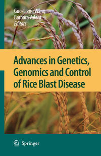 Vorderes Coverbild Advances in Genetics, Genomics and Control of Rice Blast Disease