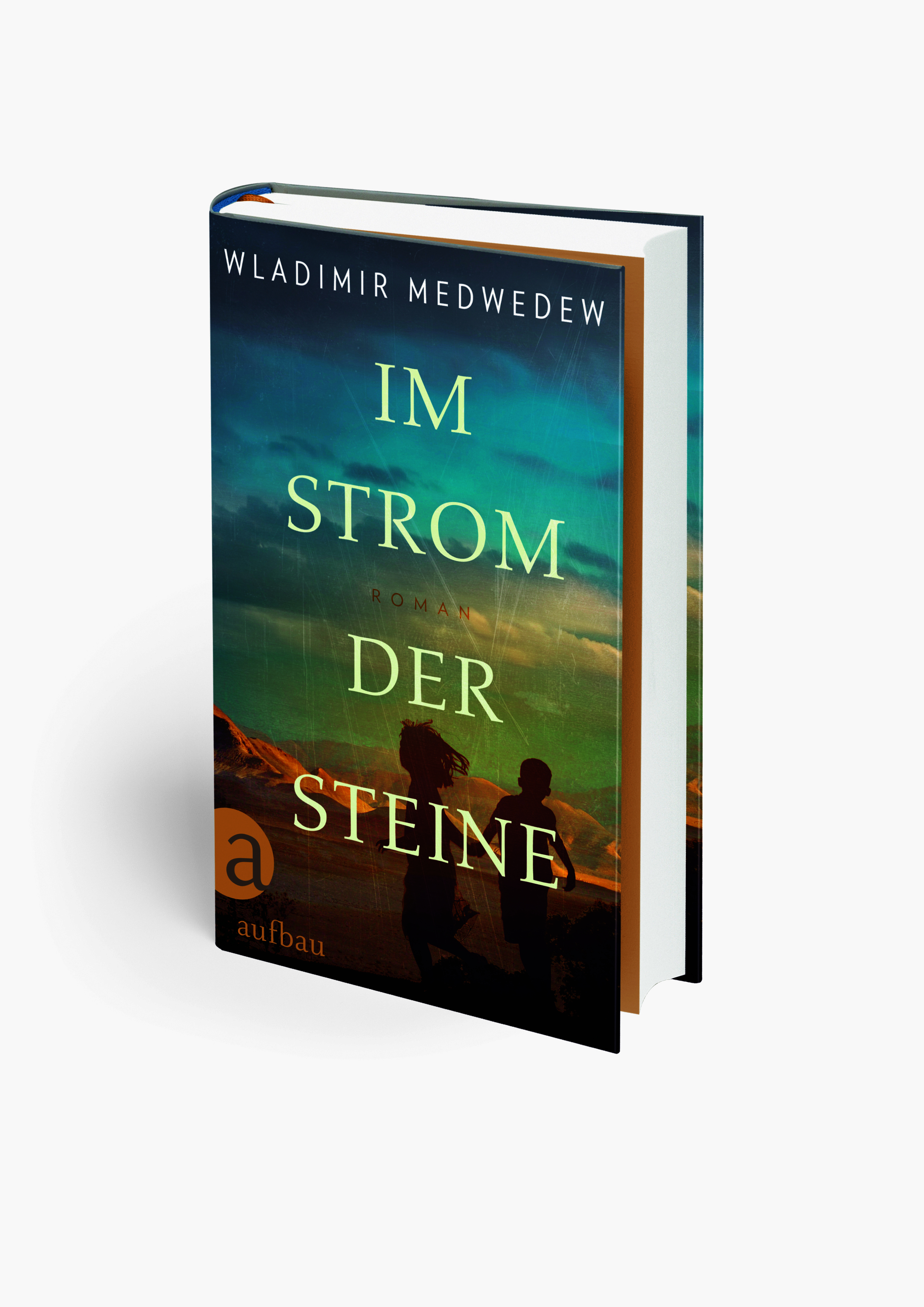 Anderes Coverbild Im Strom der Steine