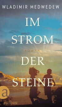 Vorderes Coverbild Im Strom der Steine