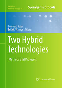 Vorderes Coverbild Two Hybrid Technologies