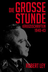 Vorderes Coverbild Die große Stunde