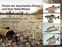 Vorderes Coverbild Fische der bayerischen Donau und ihrer Nebenflüsse