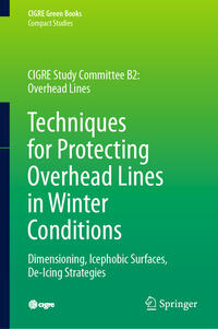 Vorderes Coverbild Techniques for Protecting Overhead Lines in Winter Conditions