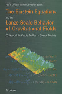 Vorderes Coverbild The Einstein Equations and the Large Scale Behavior of Gravitational Fields