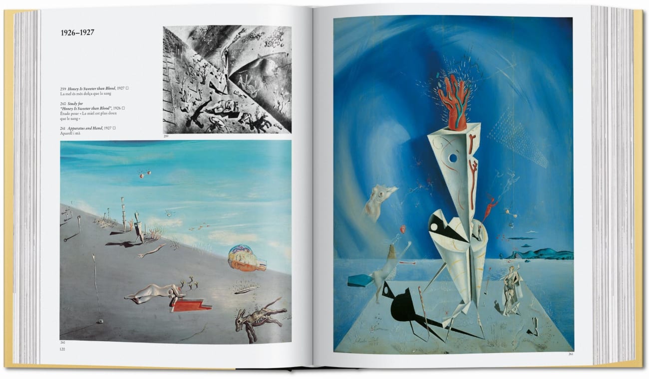 Beispielinhalt (Bild) Dalí. The Paintings
