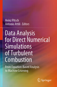 Vorderes Coverbild Data Analysis for Direct Numerical Simulations of Turbulent Combustion