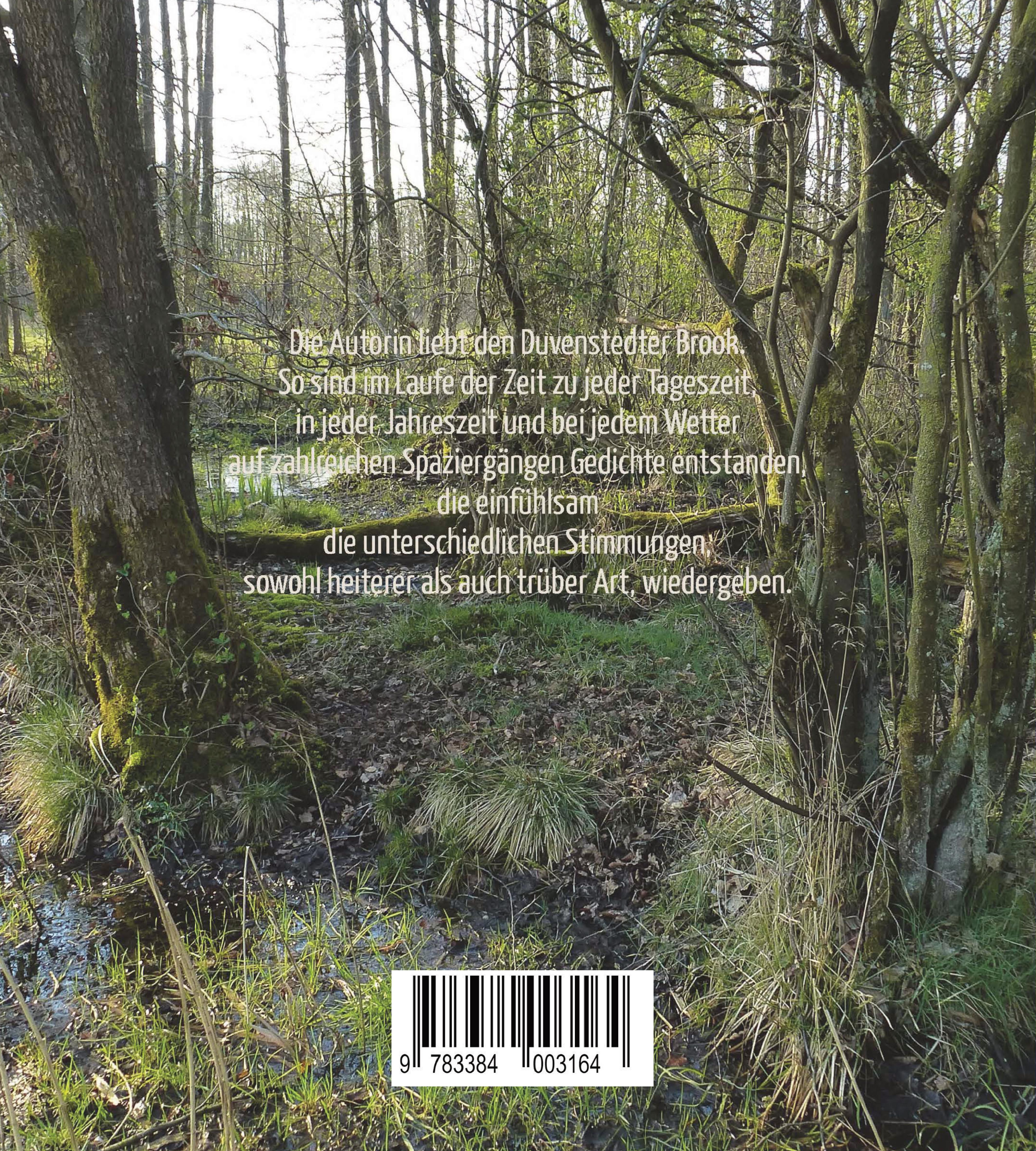 Rückseitencover Der Brook in Gedichten