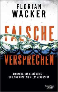 Vorderes Coverbild Falsche Versprechen