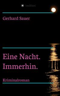 Vorderes Coverbild Eine Nacht. Immerhin.