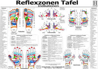 Vorderes Coverbild Reflexzonen Tafel - Indikationen - A3 (laminiert)