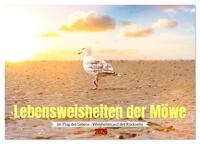 Vorderes Coverbild Lebensweisheiten der Möwe - Im Flug des Lebens (Tischkalender 2026 DIN A5 quer), CALVENDO Monatskalender