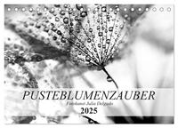 Vorderes Coverbild Pusteblumenzauber in schwarzweiß (Tischkalender 2025 DIN A5 quer), CALVENDO Monatskalender