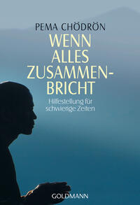 Vorderes Coverbild Wenn alles zusammenbricht