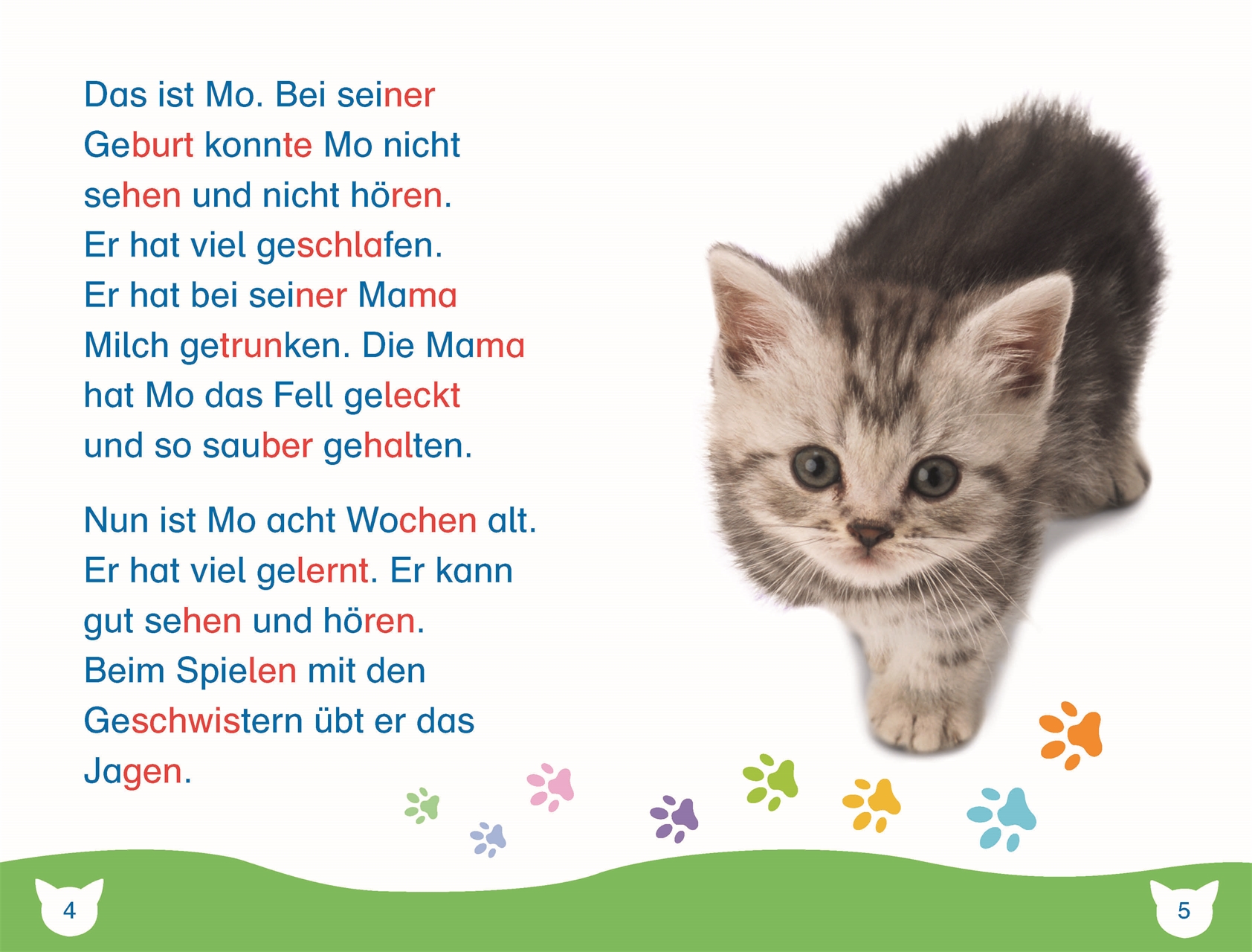 Beispielinhalt (Bild) SUPERLESER! Ein aufregender Tag für Kater Mo