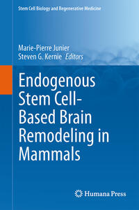 Vorderes Coverbild Endogenous Stem Cell-Based Brain Remodeling in Mammals