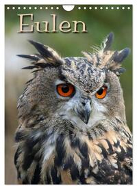Vorderes Coverbild Eulen (Wandkalender 2025 DIN A4 hoch), CALVENDO Monatskalender